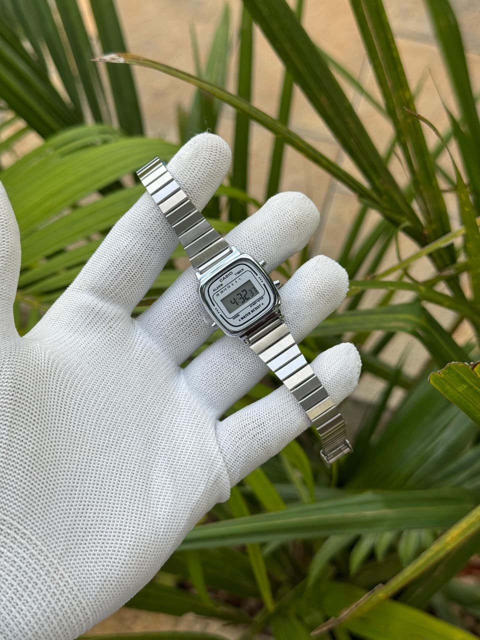 Casio Anniversary Edition