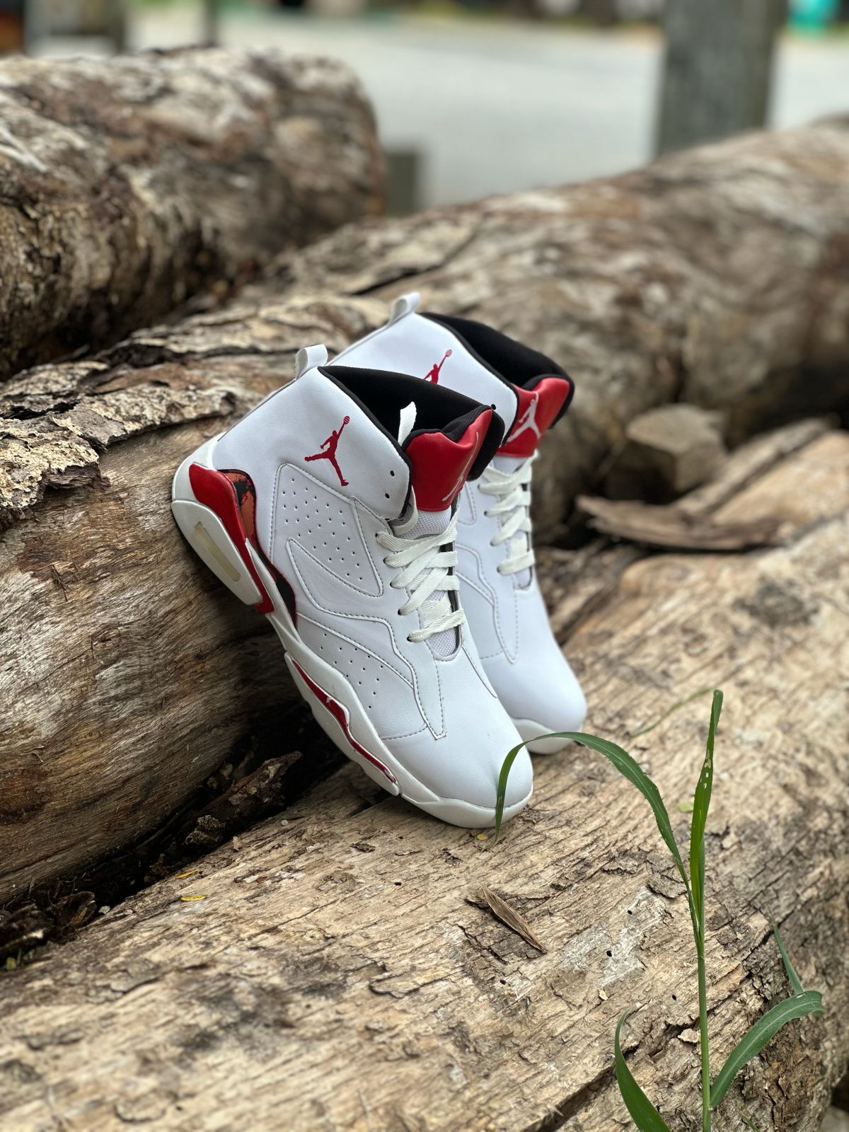 Nike Jordan 6 Jumpman