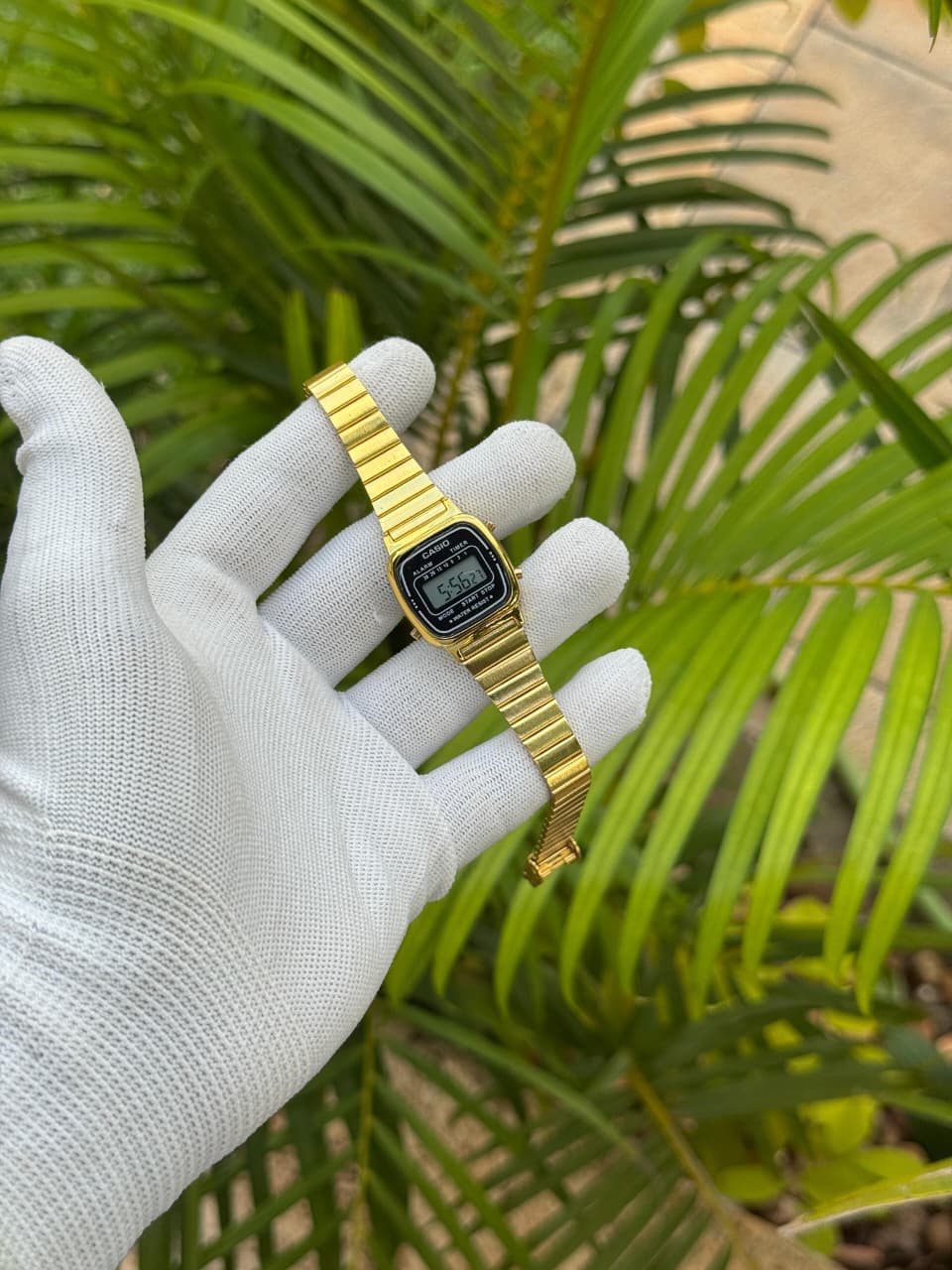 Casio Anniversary Edition